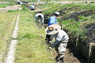 作業イメージ画像